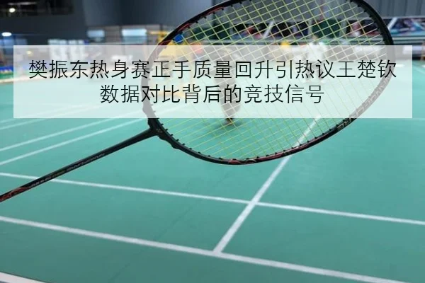 樊振东热身赛正手质量回升引热议王楚钦数据对比背后的竞技信号